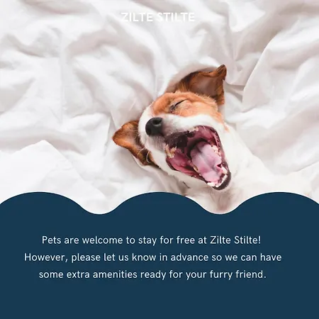 Διαμέρισμα Zilte Stilte *